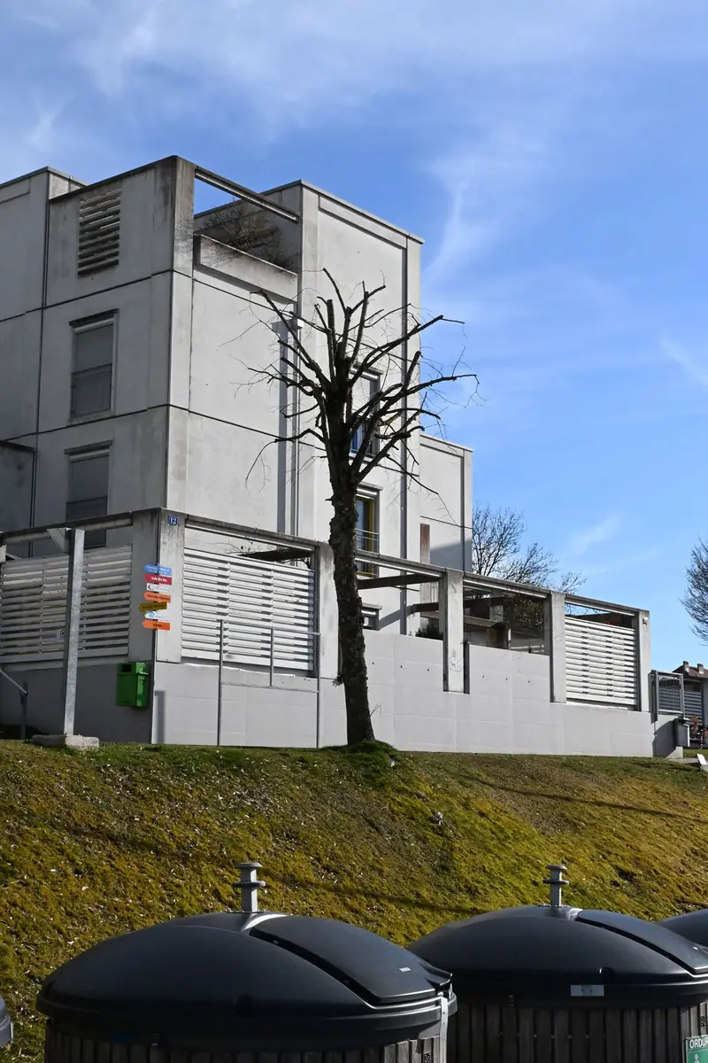 Taille d'arbres par C&V Jardin Magique, La Chaux-de-Fonds