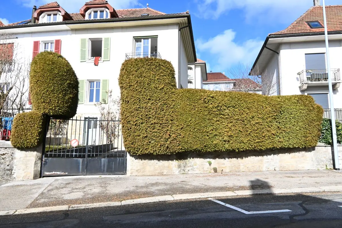 Taille de haies résidentielle à La Chaux-de-Fonds – avant intervention