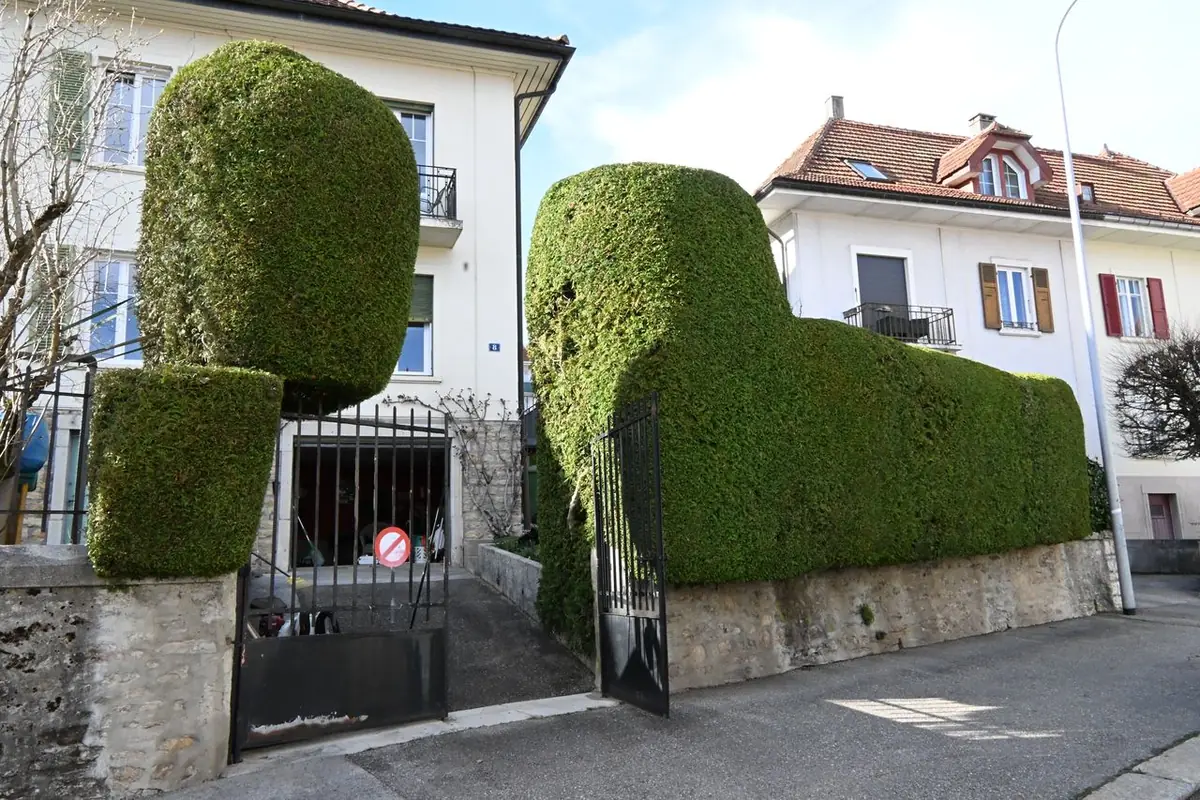 Topiaires sculptés – La Chaux-de-Fonds